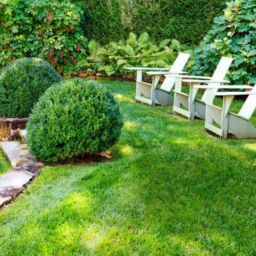 GreenYard Lawn & Plant Care - Value Pack, Small - Image 3
