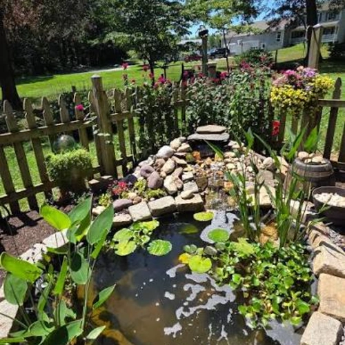 OutdoorLife Garden Ponds - Value Pack, Medium - Image 3