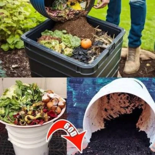 EcoGarden Compost & Top Soil - Pro, Large - Image 2