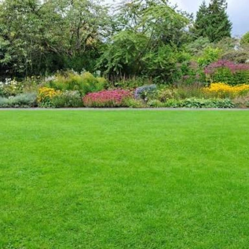 EcoGarden Lawn & Plant Care - Pro, Large - Image 3