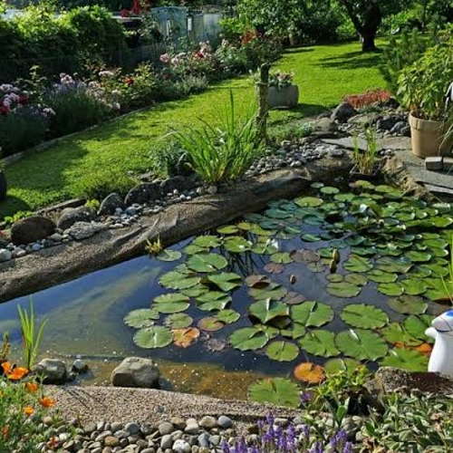 GrowRight Garden Ponds - Trade Pack, Small - Image 3