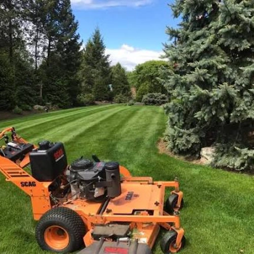 YardWorks Lawn & Plant Care - Standard, Medium - Image 2