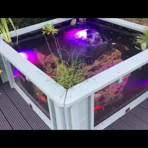 GrowRight Garden Ponds - Trade Pack, Large - Image 3