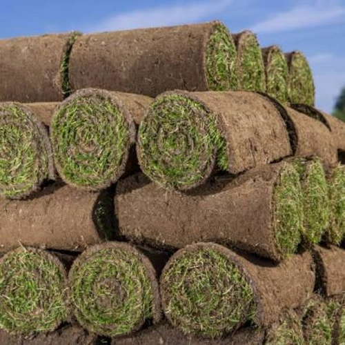 TurfTech Lawn Edging - Trade Pack, Large - Image 3