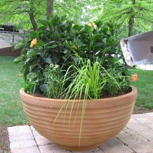 TerraTools Garden Ponds - Standard, Large - Image 3