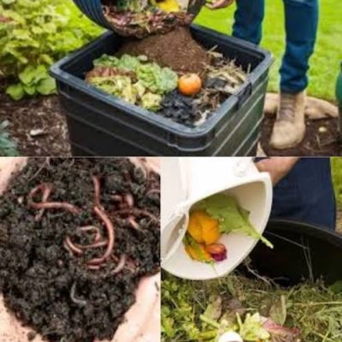 EcoGarden Compost & Top Soil - Pro, Large - Image 3