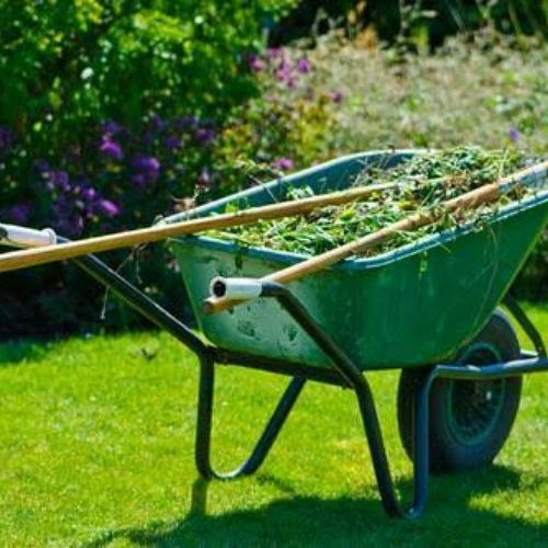 GreenYard Outdoor Cleaning - Trade Pack, Small - Image 3