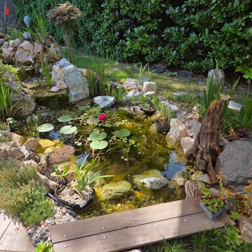 GrowRight Garden Ponds - Trade Pack, Small - Image 2